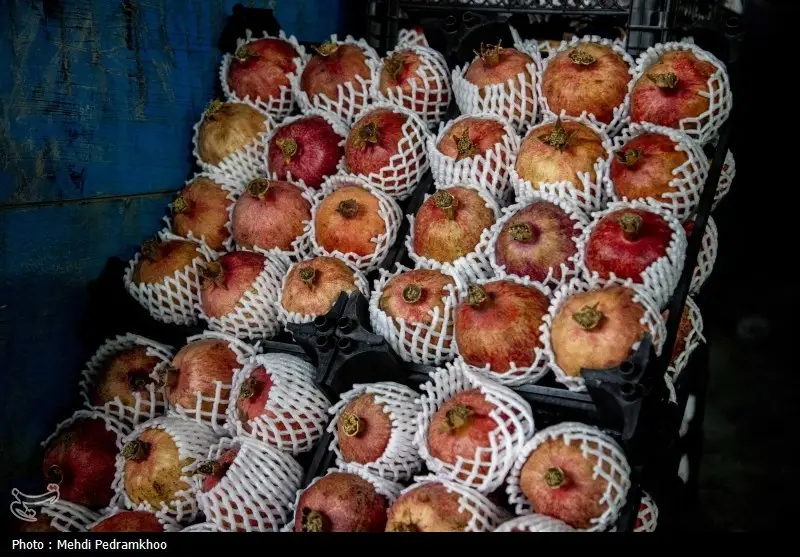 یلدایی تلخ در کردستان؛ بازار میوه بی‌مشتری و قیمت‌های سر به فلک کشیده