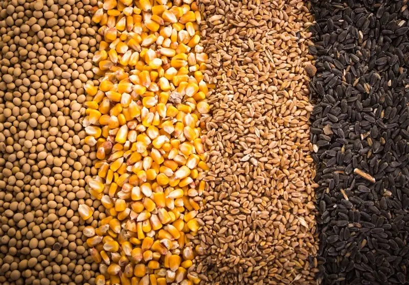 افشای راز 8 کشتی خالی نهاده‌های دامی توسط وزارت جهاد کشاورزی؛ جیب مردم چگونه خالی می‌شود؟