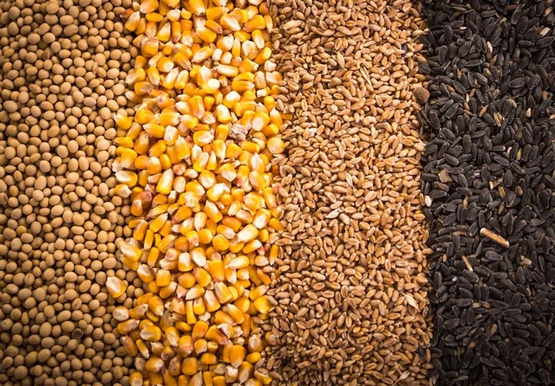 ببینید/چه کسی مسئول کمبود نهاده هاست؟