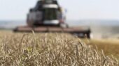 رکورد بی‌سابقه برداشت غلات روسیه در 2025؛ 140 میلیون تن غله درو شد!