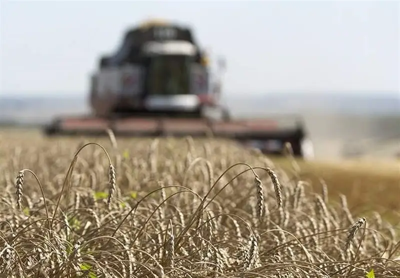 رکورد بی‌سابقه برداشت غلات روسیه در 2025؛ 140 میلیون تن غله درو شد!
