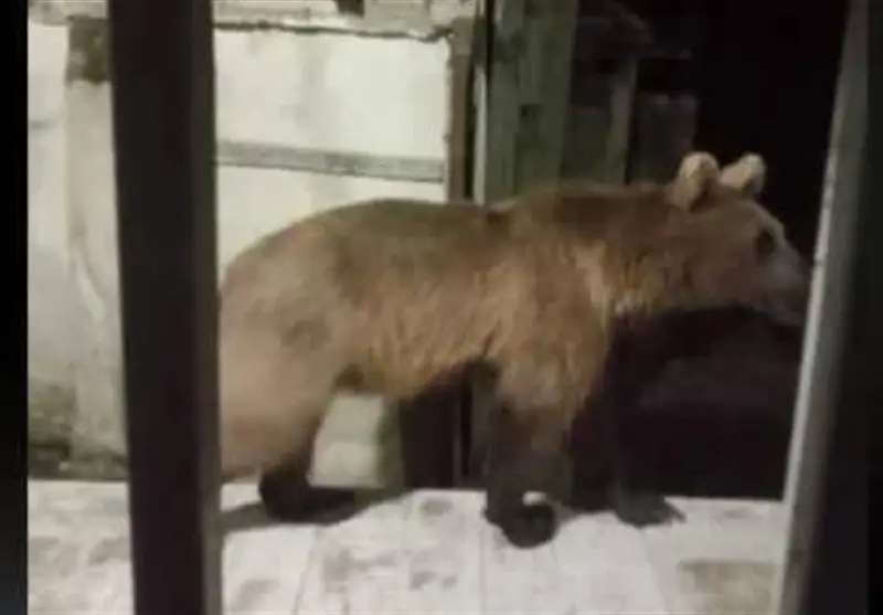 اخبار استان مازندران , اخبار ساری ,