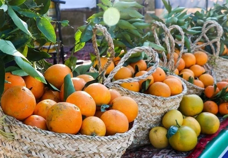 اخبار استان مازندران , اخبار ساری , نظام مسائل استان , نظام مسائل استان مازندران ,