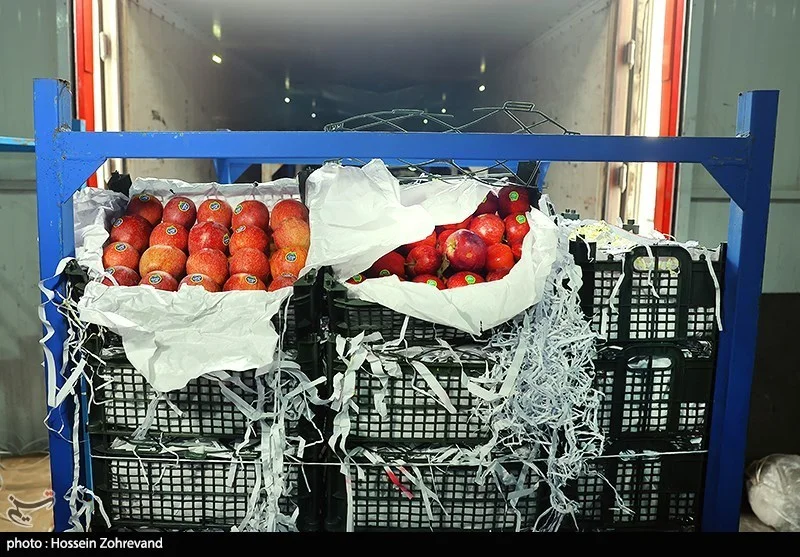 اخبار یزد , نظام مسائل استان یزد ,