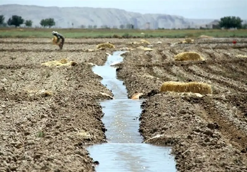 هشدار جدی فائو درباره فرسایش خاک ایران؛ آیا کشاورزی ما در آستانه بحران است؟