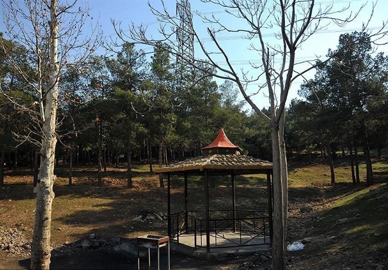 اخبار تهران|توسعه گردشگری پارک جنگلی سرخه حصار