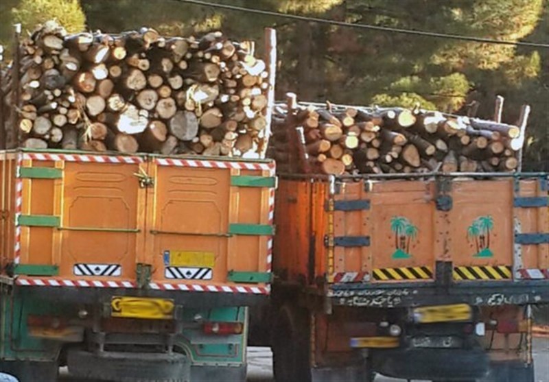 اخبار استان مازندران , اخبار ساری , سازمان منابع طبیعی , قاچاق , نظام مسائل استان مازندران , 