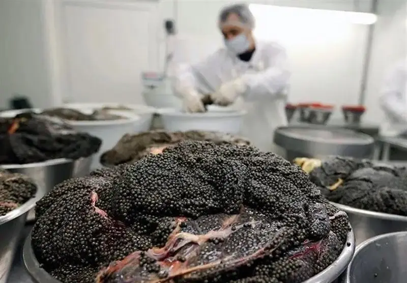 اخبار استان گلستان , دریای خزر ,