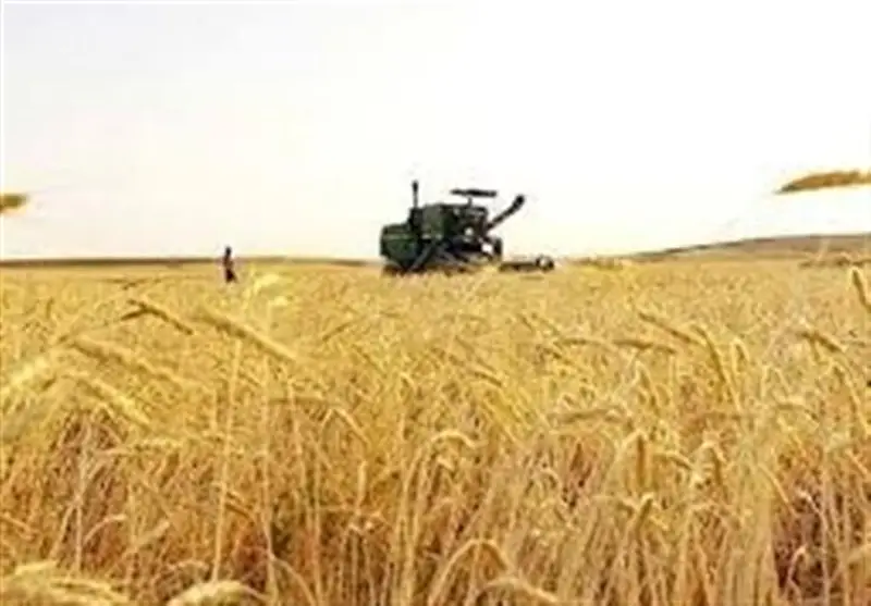 رشد شگفت‌انگیز 136 درصدی اعتبارات سرمایه‌ای کشاورزی در چهارمحال و بختیاری!