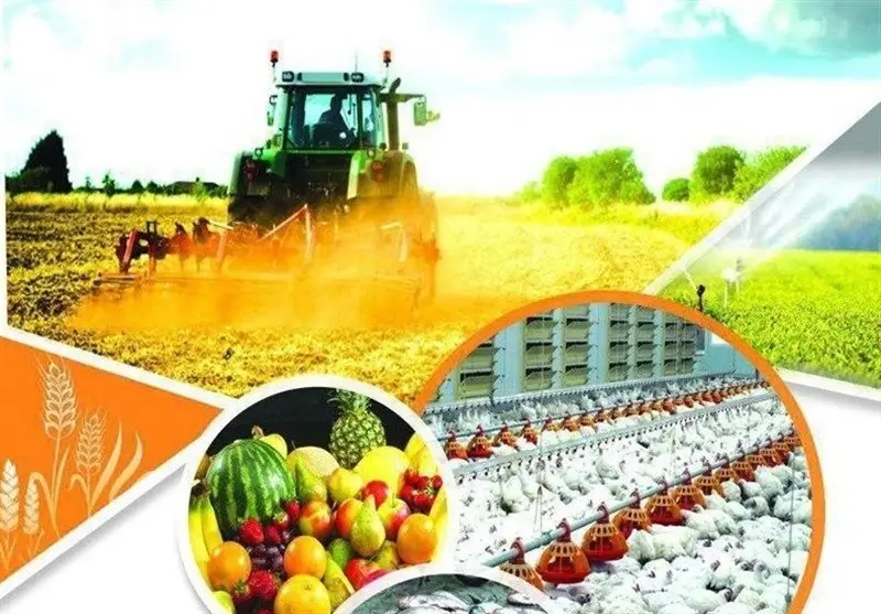 چرا امنیت غذایی ایران با کشت فراسرزمینی گندم به مرحله‌ای حیاتی رسید؟