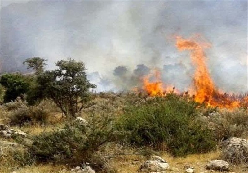 آتش‌سوزی مهیب در جنگل‌های چهاردانگه و هزارجریب؛ تلاش‌های نفس‌گیر برای مهار شعله‌ها ادامه دارد