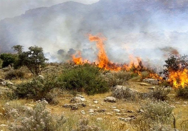 آتش مهیب در پارک ملی گلستان؛ بی‌توجهی گردشگران 2 هکتار جنگل را در شعله‌ها فرو برد