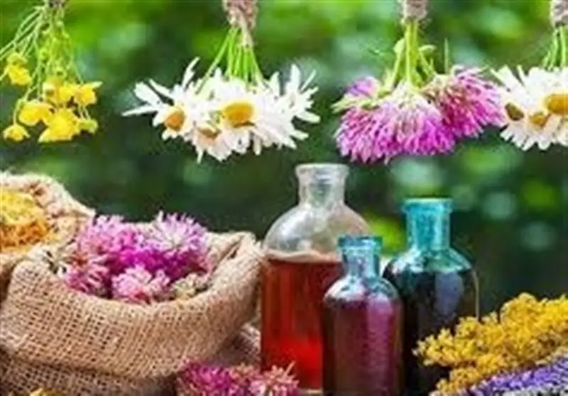 افزایش چشمگیر تولید گیاهان دارویی در هرمزگان؛ رسیدن به 9 هزار تن سالانه!