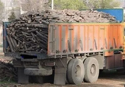 کشف بی‌سابقه بیش از ۱.۳ تن چوب و زغال قاچاق در آران و بیدگل؛ عملیات مشترک نیروهای انتظامی و منابع طبیعی