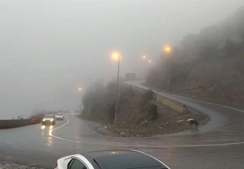 بارش برف و مه‌گرفتگی شدید در جاده‌های 9 استان؛ رانندگان مراقب باشند!