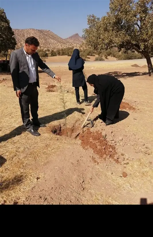 دهمین پویش درختکاری یلدا در بهاباد؛ نهال‌هایی که نفس زمین را تازه می‌کنند