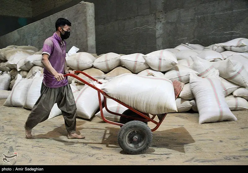 کشف احتکار و قاچاق بی‌سابقه 41 هزار تن برنج و نهاده‌های دامی در تهران!