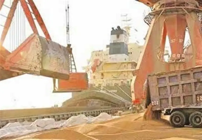 ترخیص 5.8 میلیون تن نهاده دامی از بندر امام؛ نظارت دقیق دامپزشکی تضمین سلامت!