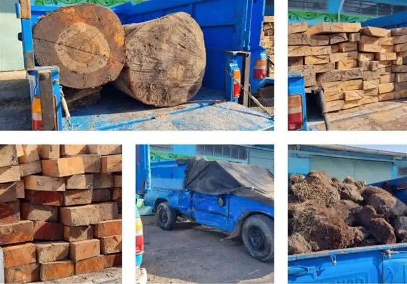 دادستانی آمل به‌صورت قاطعانه مرکز دپوی قاچاق چوب‌های جنگلی را کشف و متلاشی کرد!
