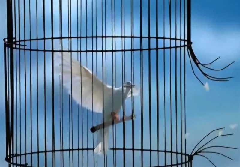 دادستان پاکدشت خبر داد: آزادی 22 زندانی و مرخصی ویژه شب یلدا در زندان‌های تهران