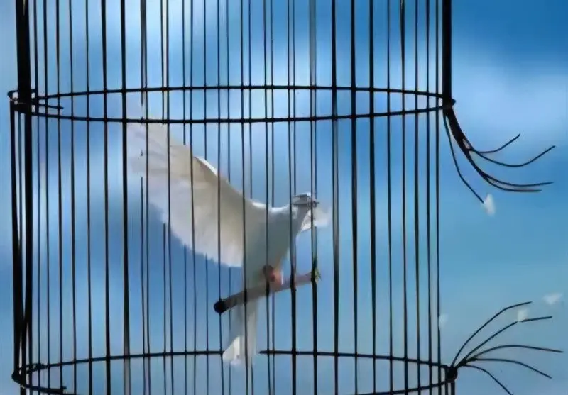 پویش بزرگ «به کرامت فاطمی، گذشت علوی می‌بخشم» در یزد؛ فرصتی برای تغییر سرنوشت زندگی‌ها