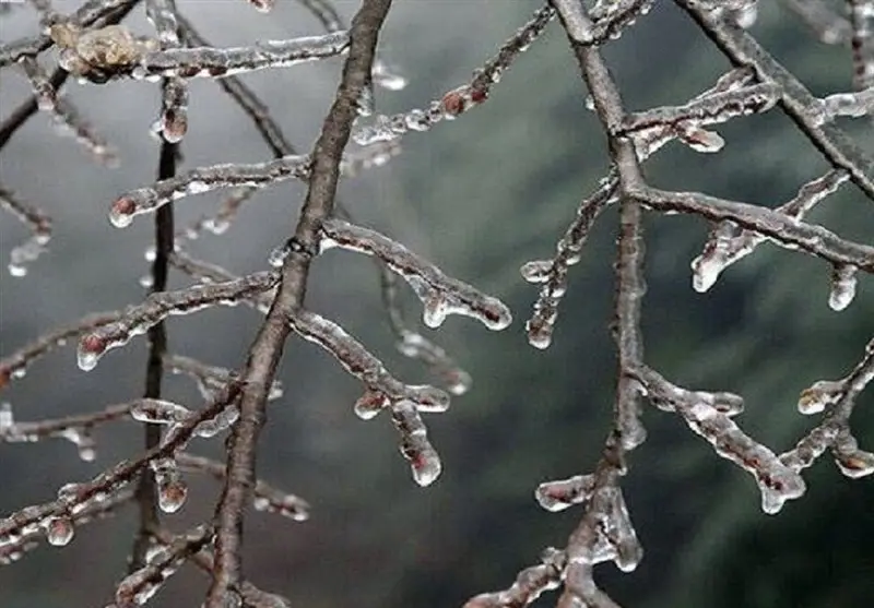هشدار نارنجی هواشناسی؛ گلستان فردا یخ می‌زند