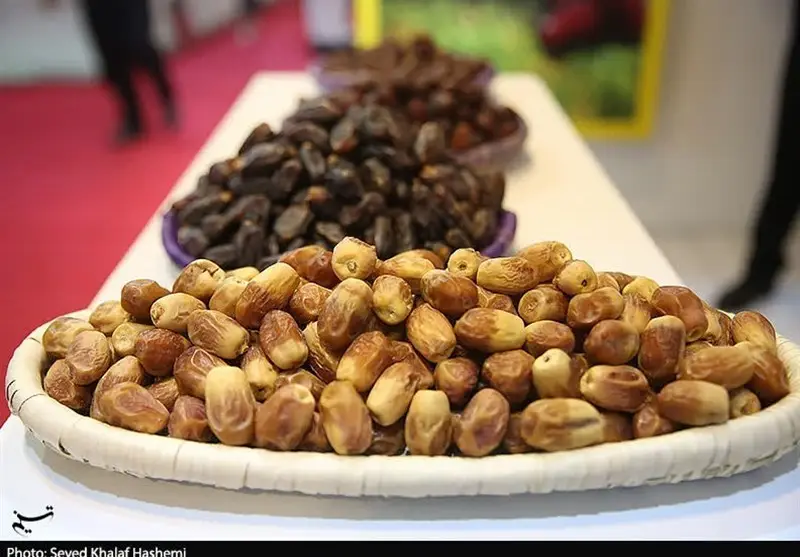 نمایشگاه خرما در فارس؛ فرصتی طلایی برای جهش صادراتی ایران!