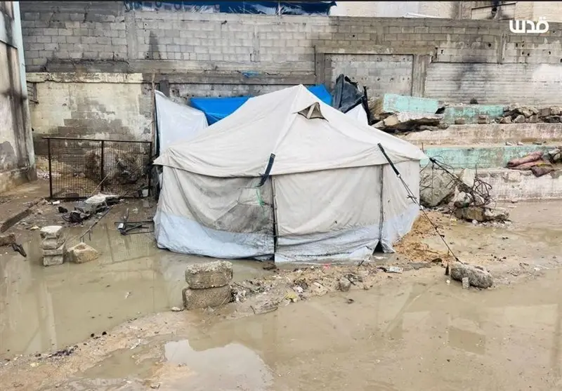 مازندران در صدر 5 استان اولویت‌دار مدیریت بحران کشور؛ چرا این منطقه حساس است؟