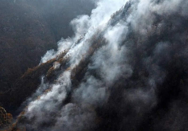 رئیس دادگستری مازندران درباره آتش‌سوزی‌های مشکوک جنگل‌ها چه گفت؟ واکنش قاطع در راه است!