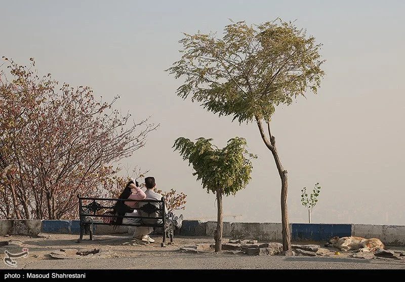 لغو ناگهانی طرح زوج‌وفرد تهران؛ پشت‌پرده تصمیم‌های دودآلود مدیریت شهری!