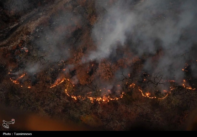 آتش‌سوزی مهیب در جنگل‌های هیرکانی توسکستان؛ نبرد نفس‌گیر نیروها با زبانه‌های آتش ادامه دارد