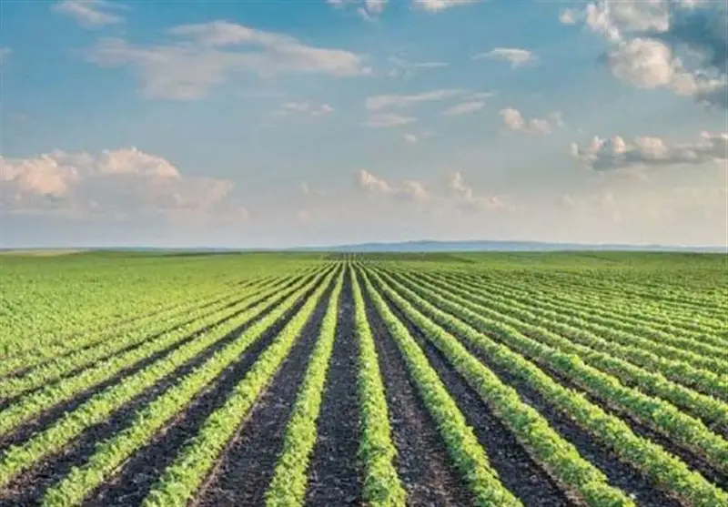 جشنواره کشاورزی دانش‌بنیان در قزوین؛ نقطه عطفی برای تحول در تولید و فناوری