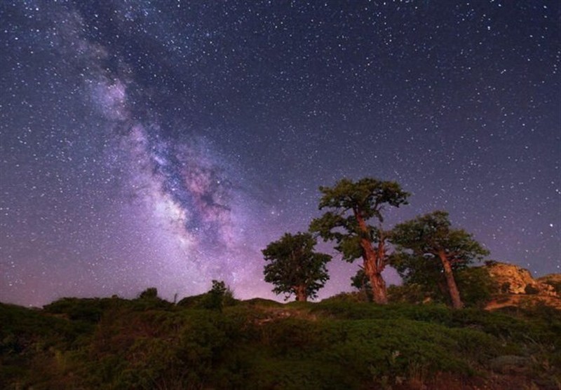 اخبار استان گلستان , نظام مسائل استان گلستان , طبیعت , جنگل های هیرکانی ,