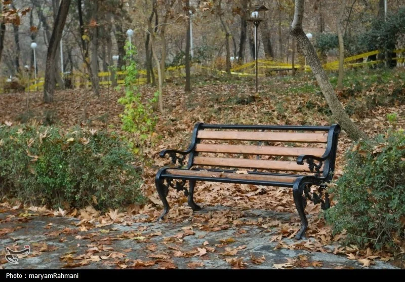 بهکده رضوی رکورددار بارش در خراسان شمالی با ثبت 21.7 میلی‌متر باران شد!