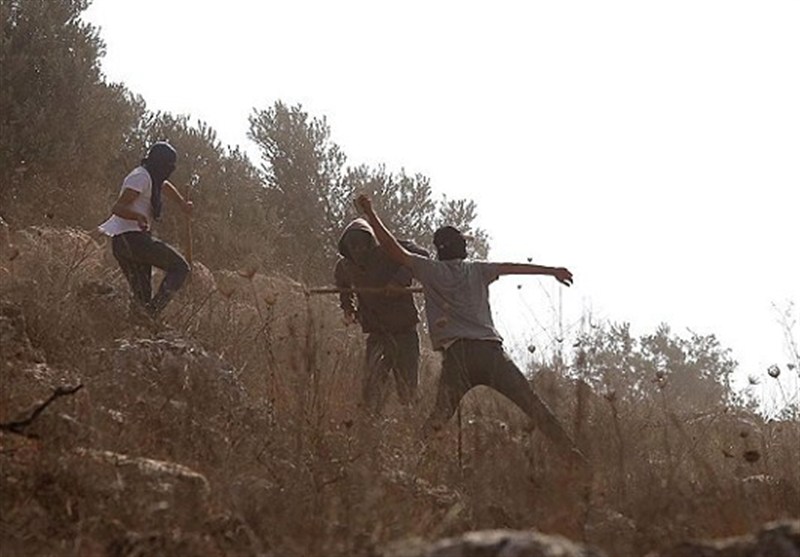 سازمان ملل افشا کرد: روزانه ۵ بار یورش وحشیانه شهرک‌نشینان به کرانه باختری!