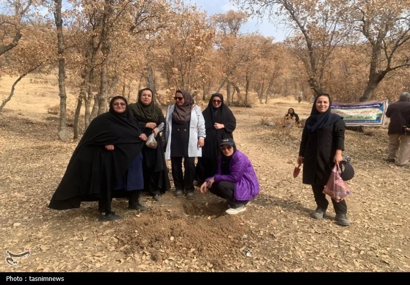 مادر , اخبار استان کهگیلویه و بویراحمد ,