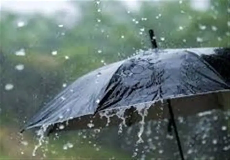 بارش‌های بی‌سابقه آذرماه، بوشهر را بهشتی کرد!