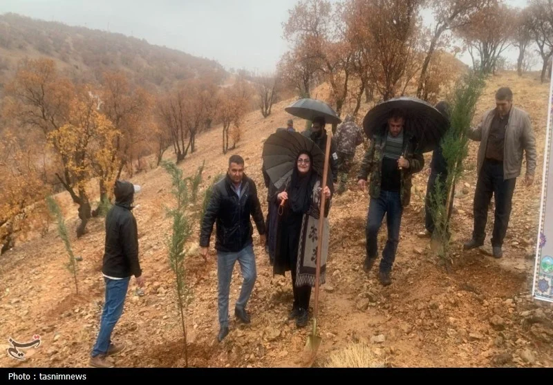 اخبار استان کهگیلویه و بویراحمد , سازمان منابع طبیعی ,