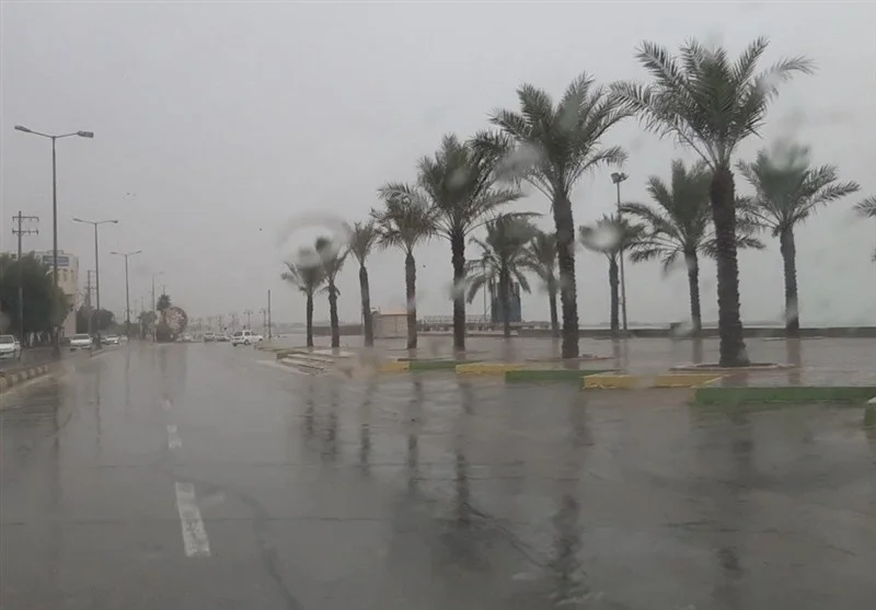 بارش بی‌سابقه 60 میلیمتری باران در شمال بوشهر؛ پاییز آغاز شد!