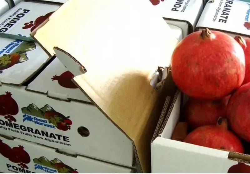 توافق تاریخی طالبان و روسیه؛ صادرات محصولات کشاورزی افغانستان به بازارهای جدید باز شد!