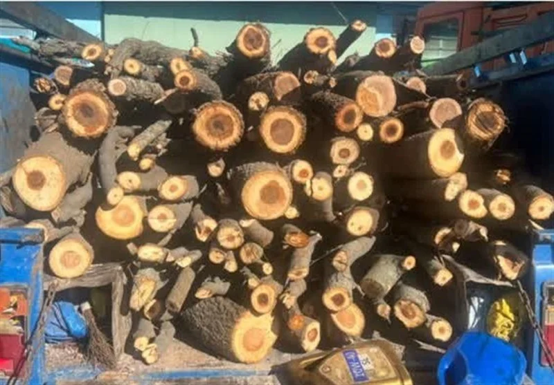 کشف حیرت‌انگیز 8 تن هیزم جنگلی قاچاق در اردبیل؛ متهمان دستگیر شدند!