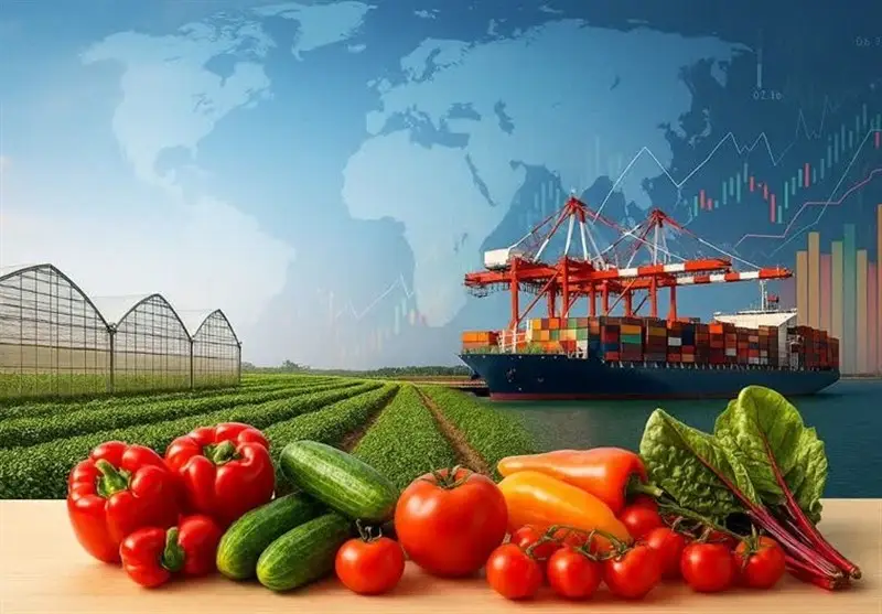 رشد شگفت‌انگیز ارتباط تجاری مازندران و ازبکستان؛ توافق‌هایی که آینده را رقم می‌زند!