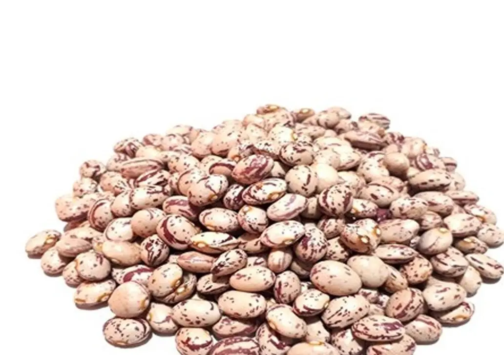 شوک بزرگ به سفره مردم؛ قیمت لوبیا چیتی در 6 سال 27 برابر شد!