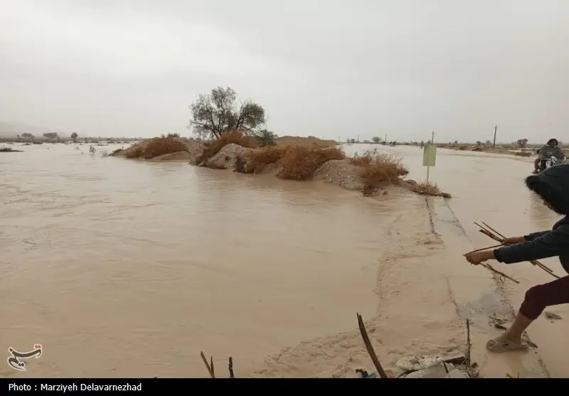 سیلاب هرمزگان ۶۰۰۰ هکتار زمین کشاورزی را درنوردید؛ خسارات گسترده در انتظار کشاورزان!