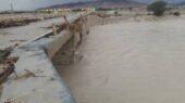 افزایش حیرت‌انگیز سرریز سازه‌های آبخیزداری هرمزگان در سه موج بارندگی اخیر!