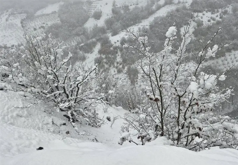 سمنان در چنگال سامانه بارشی جدید؛ برف و باران شدید با هشدار کولاک!