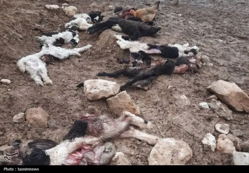 اخبار استان کهگیلویه و بویراحمد , پایش و نظارت در محیط زیست ,