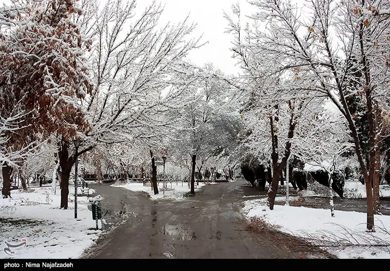 بارش‌های زمستانی در فارس؛ انسداد راه 6 روستا و فاجعه مرگ دو جوان در لارستان