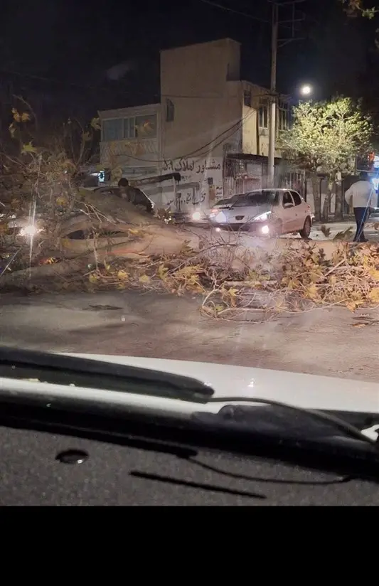 تندباد زمستانی در ایلام؛ هشدار شدید هواشناسی و کاهش دما تا صفر درجه