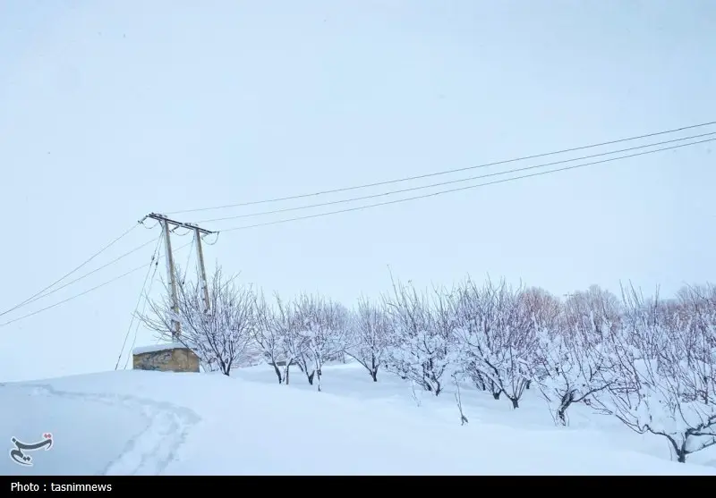 اخبار استان کهگیلویه و بویراحمد , 